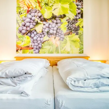 Gaestehaus Weingut Politschek Apartment Bad Friedrichshall