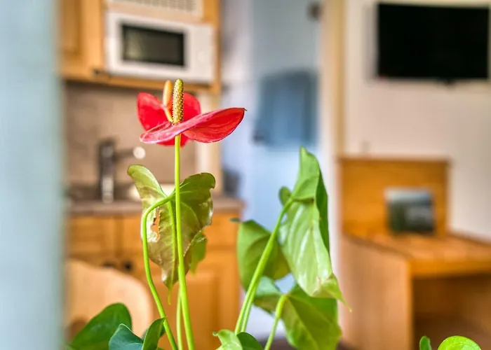 דירה Gaestehaus Weingut Politschek באד פרידריכסהל